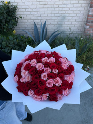 Pink and Red Rose Buchon