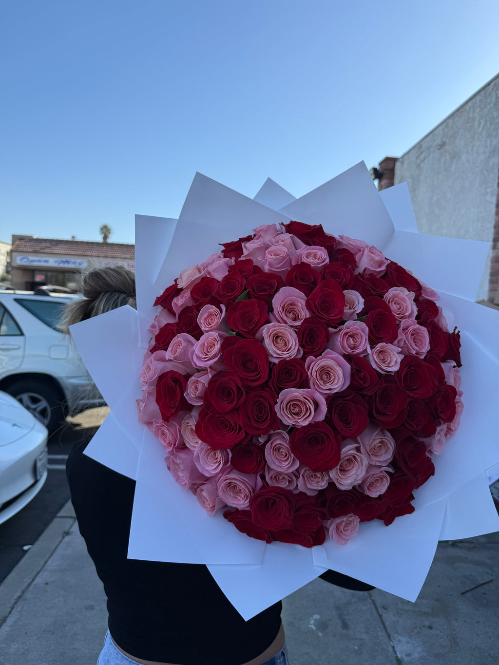 Pink and Red Rose Buchon