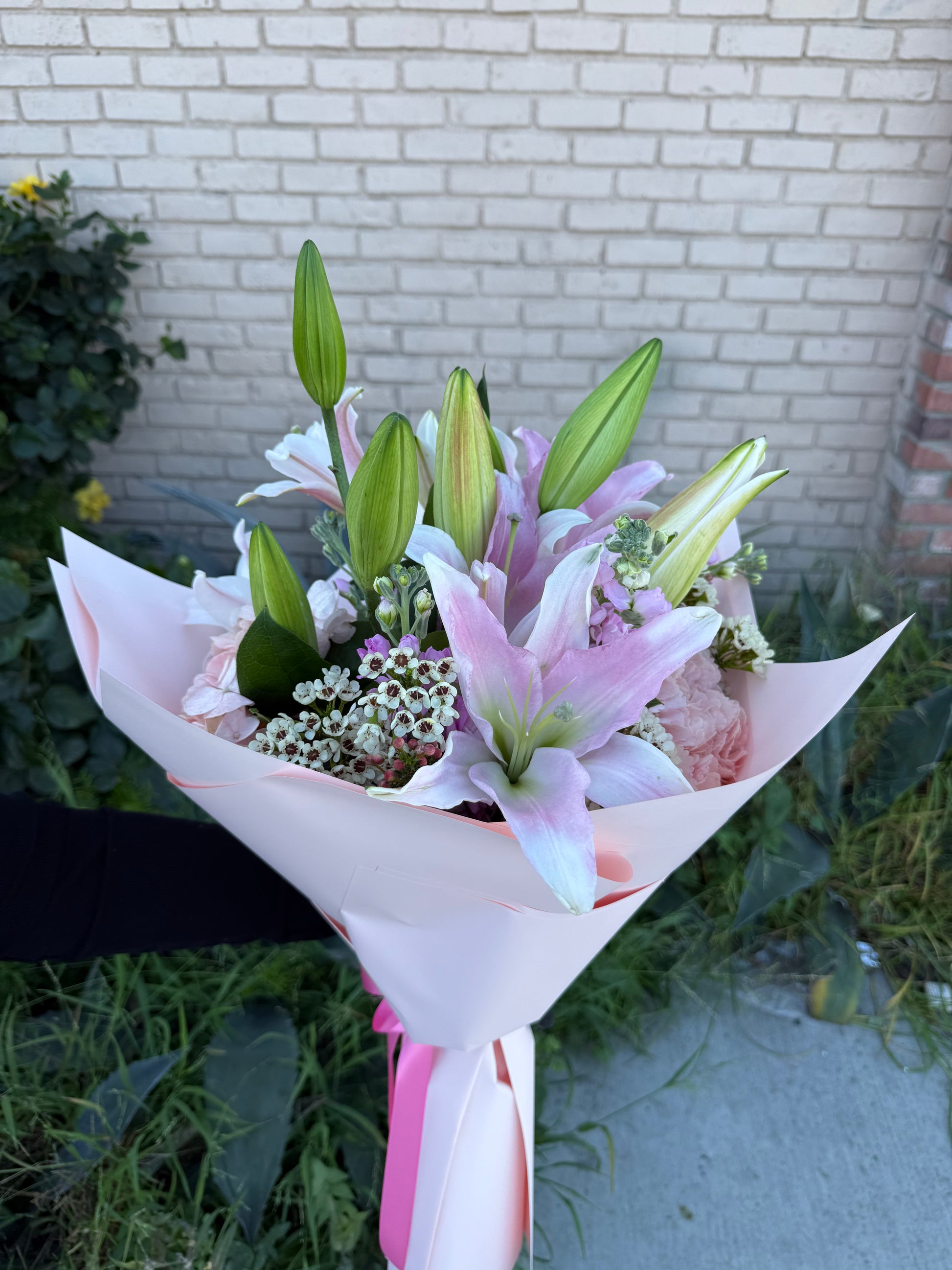 Blushing Lily Garden