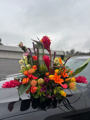 Island Breeze Tropical