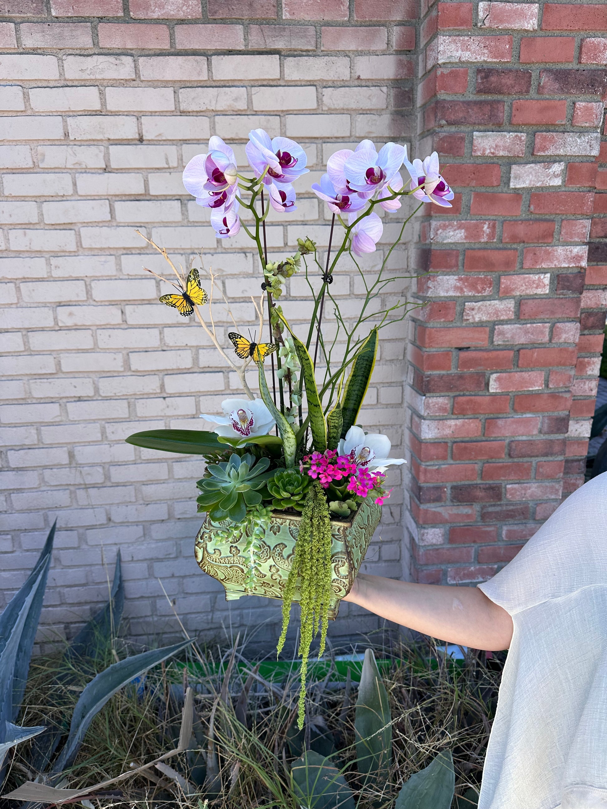 Elegant Purple Orchid Arrangement