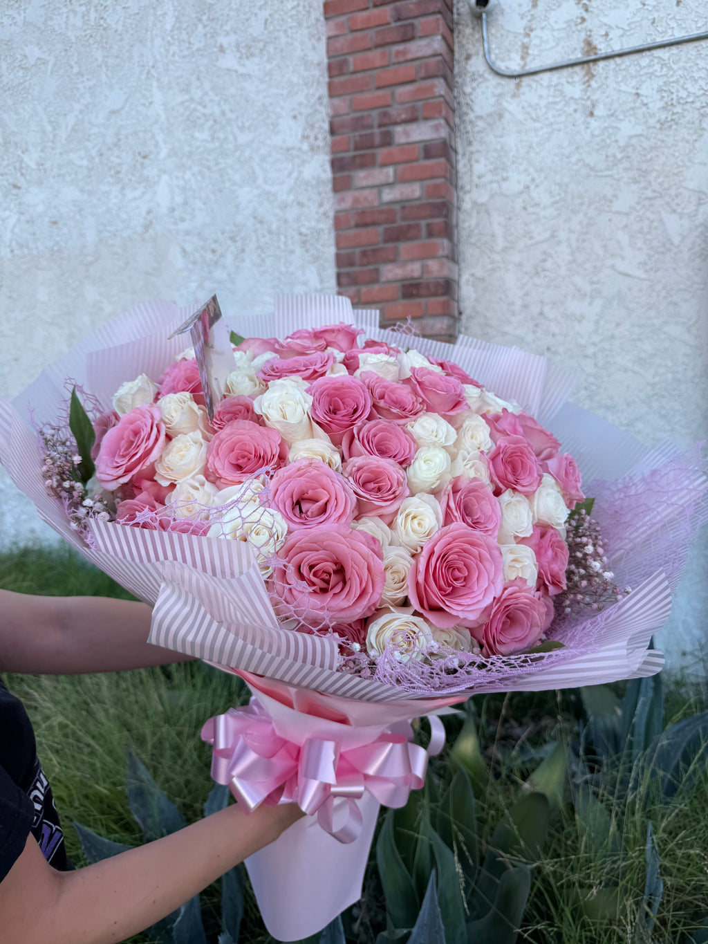 Pink Whisper Rose Buchon