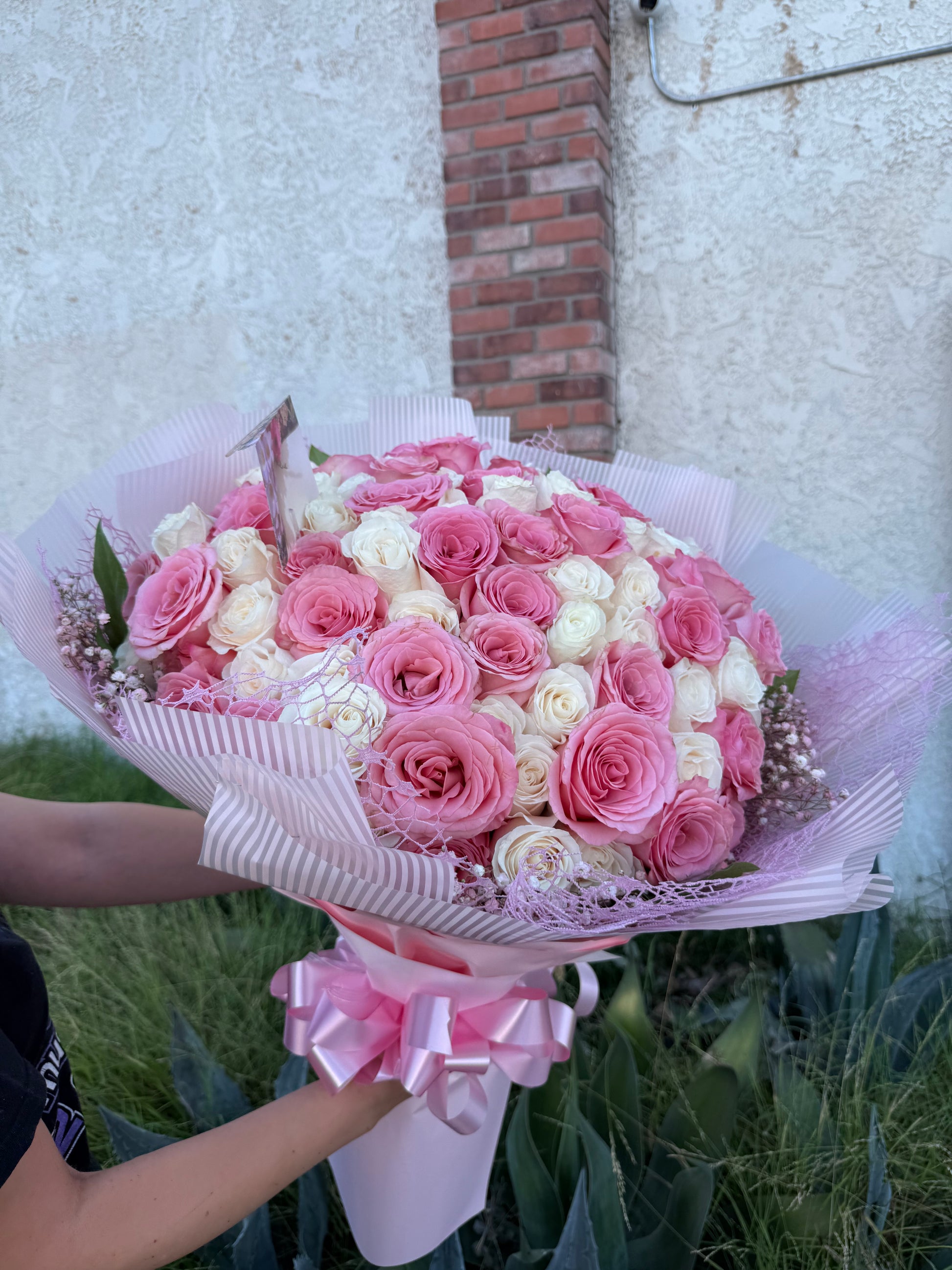 Pink Whisper Rose Buchon
