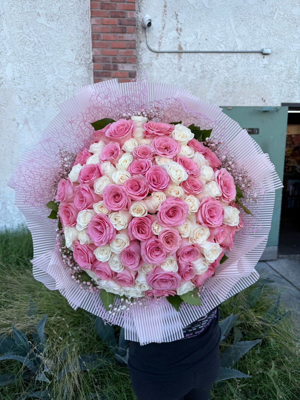 Pink Whisper Rose Buchon