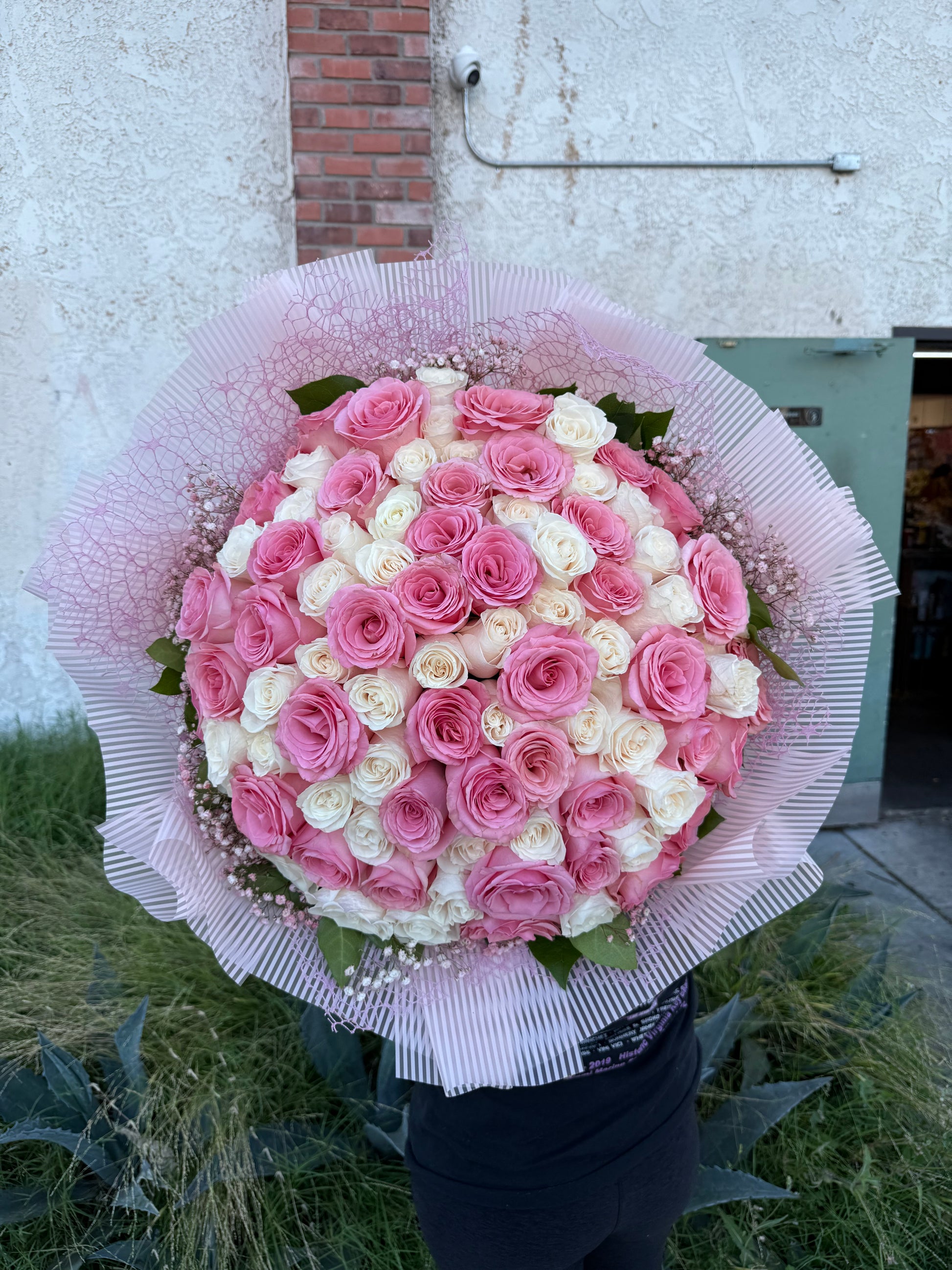 Pink Whisper Rose Buchon