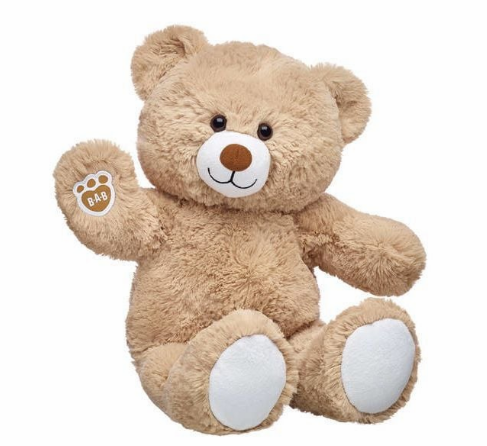 Teddy Bear Plushy